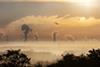 pollution sunrise fog