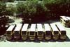 buses parked